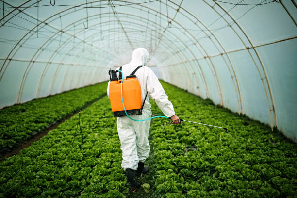 Best Pest Control for Businesses  in Moapa Valley, NV