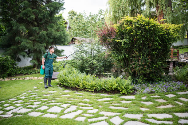 Best Best Pest Control Companies  in Moapa Valley, NV
