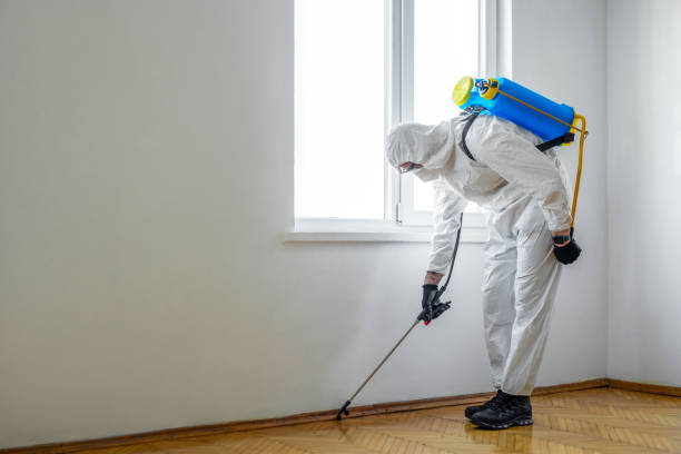 Best Emergency Pest Control  in Moapa Valley, NV