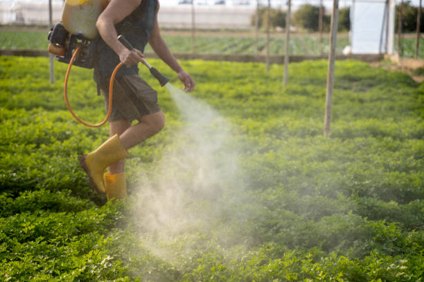 Best Pest Inspection Near Me  in Moapa Valley, NV