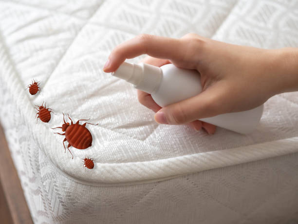 Best Pest Prevention Services  in Moapa Valley, NV